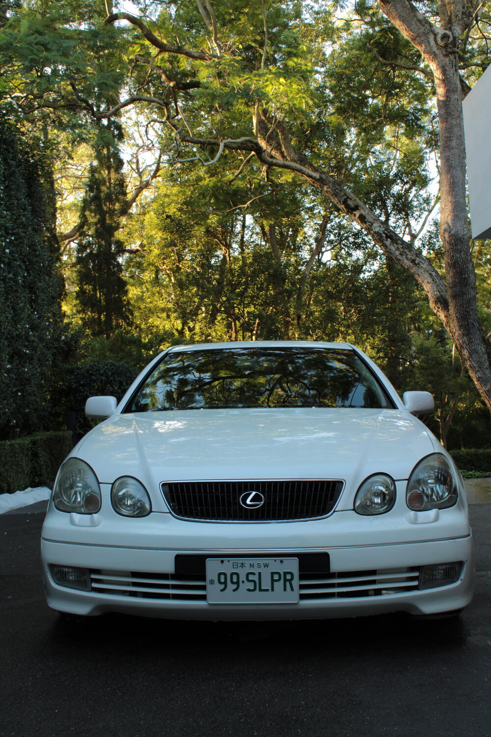 The founder's Toyota Aristo